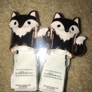 Set of 2 Fox wallflower plugs